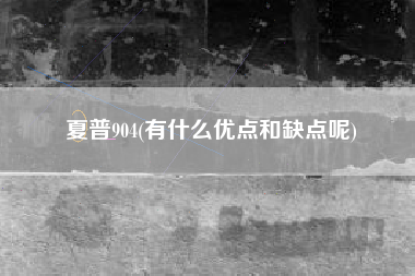 夏普904(有什么优点和缺点呢)