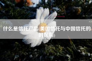 什么是信托产品(美国信托与中国信托的的区别)
