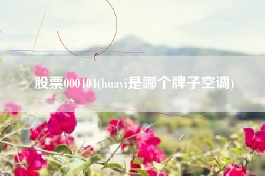 股票000404(huayi是哪个牌子空调)