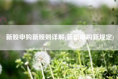 新股申购新规则详解(新股申购新规定)