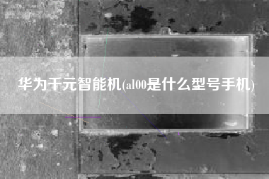 华为千元智能机(al00是什么型号手机)