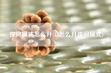夜间模式怎么开(12怎么开夜间模式)