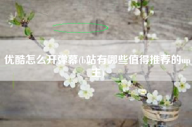 优酷怎么开弹幕(b站有哪些值得推荐的up主)