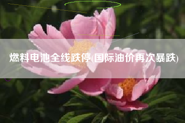 燃料电池全线跌停(国际油价再次暴跌)
