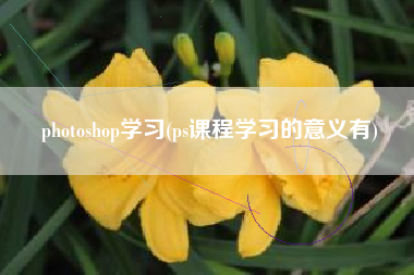 photoshop学习(ps课程学习的意义有)