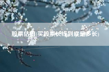 股票估值(买股票长线到底是多长)