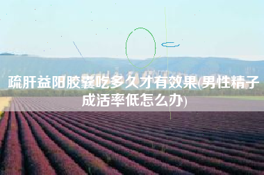 疏肝益阳胶囊吃多久才有效果(男性精子成活率低怎么办)