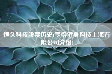 恒久科技股票历史(亨得健身科技上海有限公司介绍)