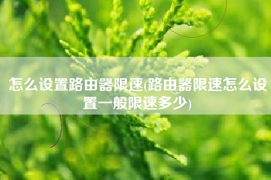 怎么设置路由器限速(路由器限速怎么设置一般限速多少)