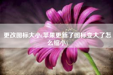 更改图标大小(苹果更新了图标变大了怎么缩小)