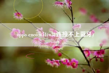 oppo enco w51(w31连接不上蓝牙)