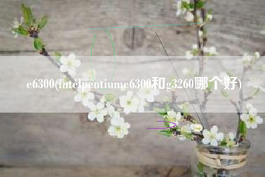 详细阅读:e6300(intelpentiume6300和g3260哪个好) e6300(intelpentiume6300和g3260哪个好)