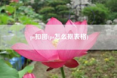 ps扣图(ps怎么抠表格)
