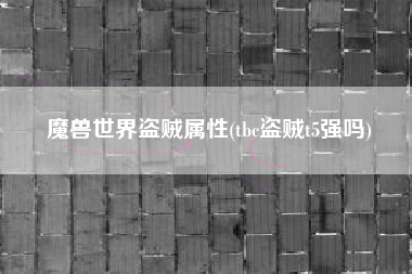 魔兽世界盗贼属性(tbc盗贼t5强吗)