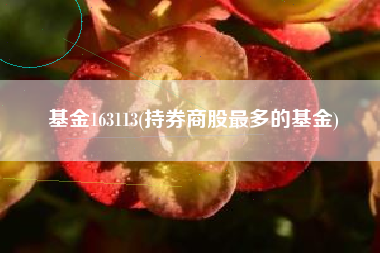 基金163113(持券商股最多的基金)