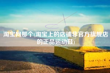 淘宝网那个(淘宝上的店铺非官方旗舰店的正品运动鞋)