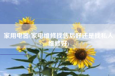 家用电器(家电维修找售后好还是找私人维修好)