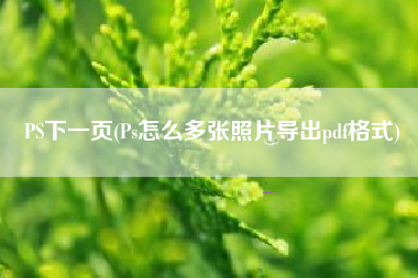 PS下一页(Ps怎么多张照片导出pdf格式)
