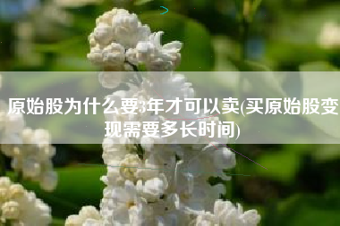原始股为什么要3年才可以卖(买原始股变现需要多长时间)