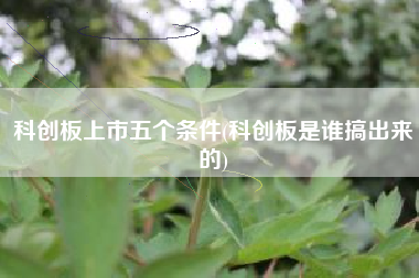 科创板上市五个条件(科创板是谁搞出来的)