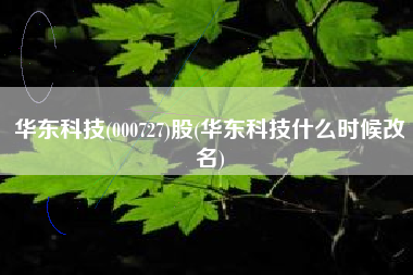 华东科技(000727)股(华东科技什么时候改名)