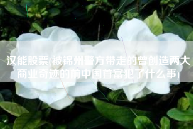 汉能股票(被锦州警方带走的曾创造两大商业奇迹的前中国首富犯了什么事)