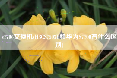 s7706交换机(H3CS7503E和华为S7700有什么区别)