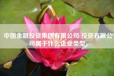中国金融投资集团有限公司(投资有限公司属于什么企业类型)