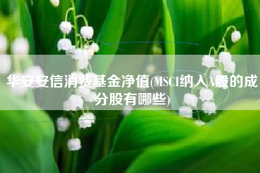 华安安信消费基金净值(MSCI纳入A股的成分股有哪些)