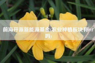 前海开源新能源基金(农业种植板块有etf吗)