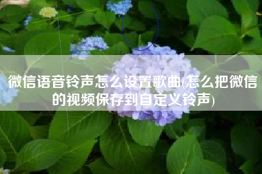微信语音铃声怎么设置歌曲(怎么把微信的视频保存到自定义铃声)
