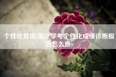 个性化首页(浙江学考个性化成绩诊断报告怎么查)
