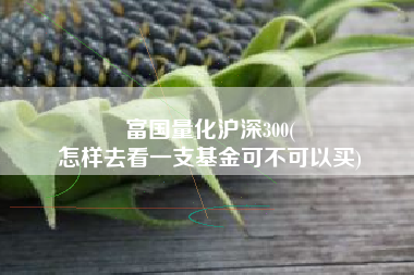 富国量化沪深300(
怎样去看一支基金可不可以买) 富国量化沪深300(
怎样去看一支基金可不可以买)