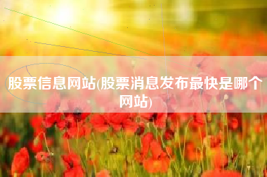 股票信息网站(股票消息发布最快是哪个网站)