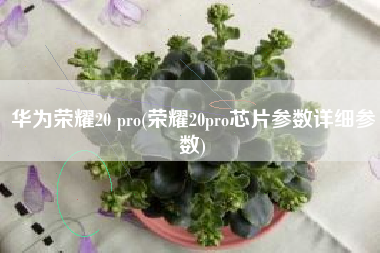 华为荣耀20 pro(荣耀20pro芯片参数详细参数)