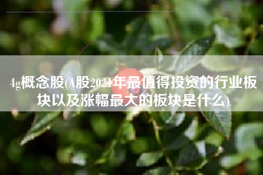 4g概念股(A股2021年最值得投资的行业板块以及涨幅最大的板块是什么)