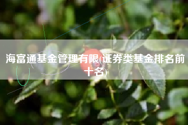 海富通基金管理有限(证券类基金排名前十名)
