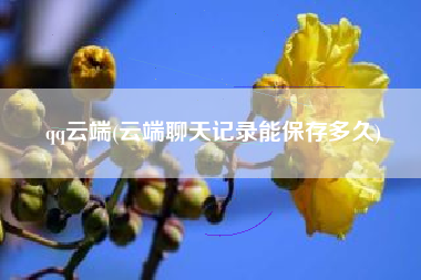qq云端(云端聊天记录能保存多久)