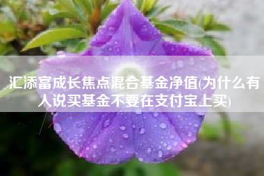 汇添富成长焦点混合基金净值(为什么有人说买基金不要在支付宝上买)