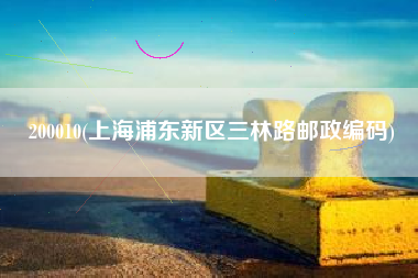 200010(上海浦东新区三林路邮政编码)
