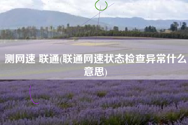 测网速 联通(联通网速状态检查异常什么意思)