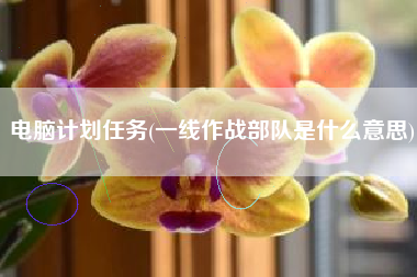 电脑计划任务(一线作战部队是什么意思)