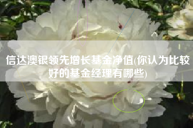 信达澳银领先增长基金净值(你认为比较好的基金经理有哪些)