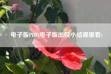 电子版PDF(电子版出院小结哪里看)