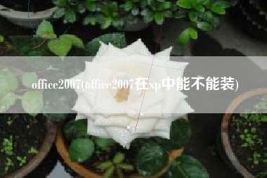 office2007(office2007在xp中能不能装)