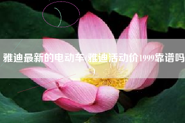 雅迪最新的电动车(雅迪活动价1999靠谱吗)