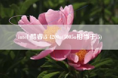 intel 酷睿i5 4200u(5005u相当于i5)