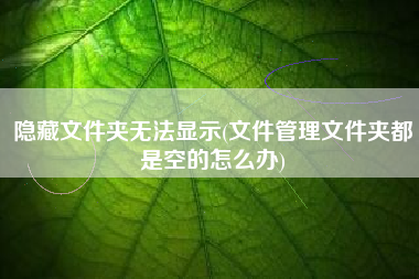 隐藏文件夹无法显示(文件管理文件夹都是空的怎么办)
