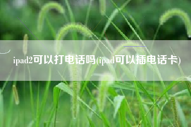 ipad2可以打电话吗(ipad可以插电话卡)