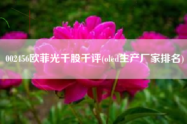 002456欧菲光千股千评(oled生产厂家排名)